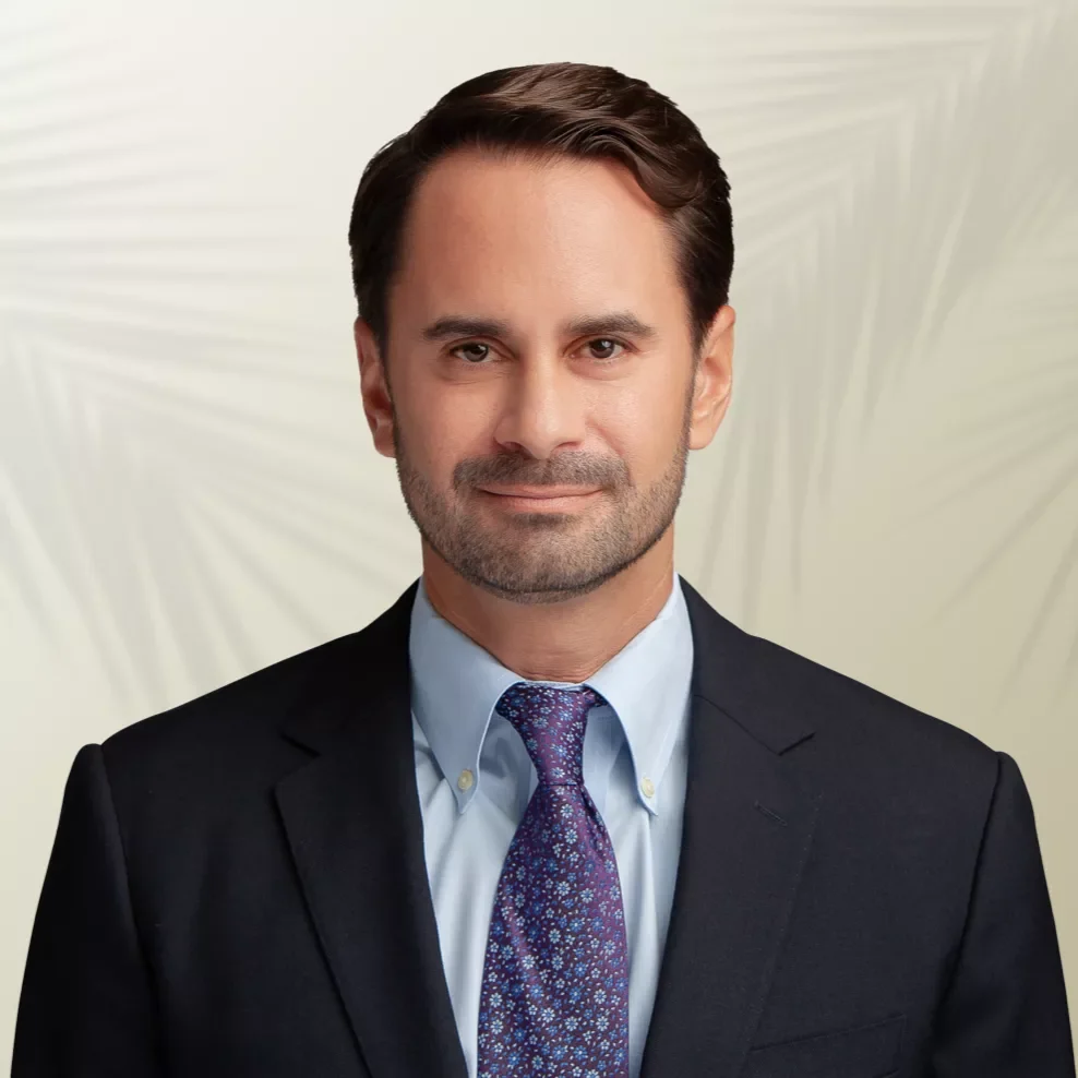 Ian DeMello 2024 Ian DeMello 2024